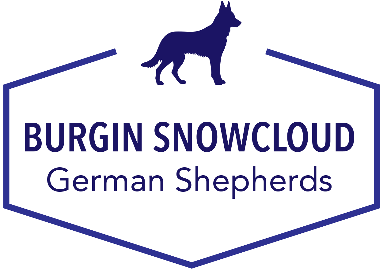 Burgin Snowcloud Shepherds